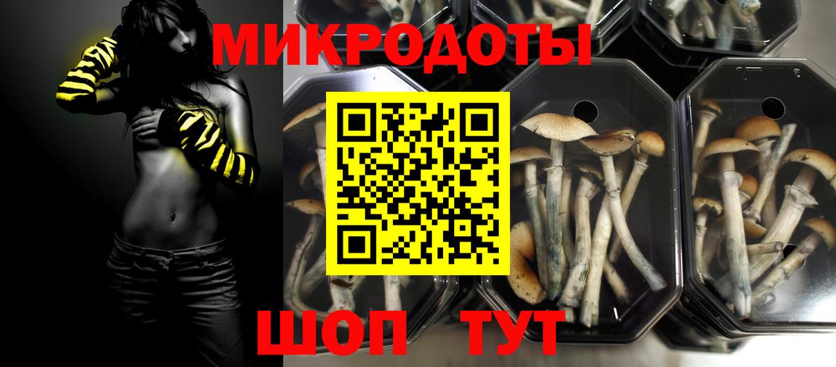 Псилоцибиновые грибы Psilocybine cubensis Черняховск