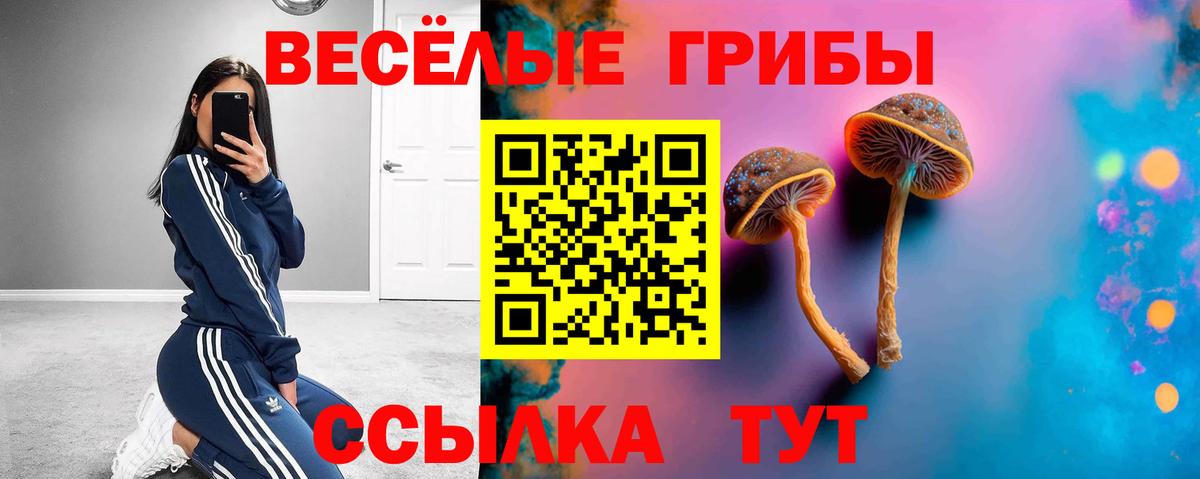 Черняховск  Псилоцибиновые грибы Psilocybine cubensis  Псилоцибиновые грибы GOLDEN TEACHER  Вход с VPN 